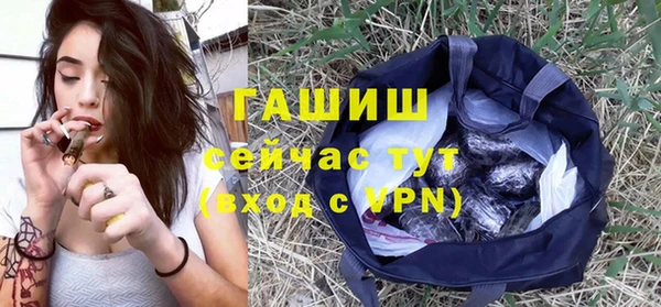 прущие грибы Абаза