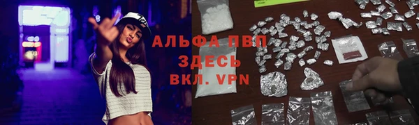 молекула духа Алексин