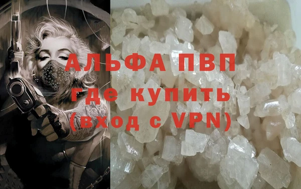 прущие грибы Абаза