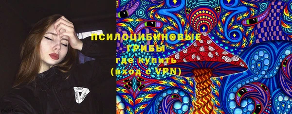 прущие грибы Абаза
