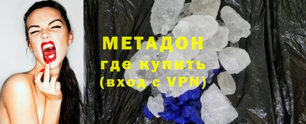 прущие грибы Абаза
